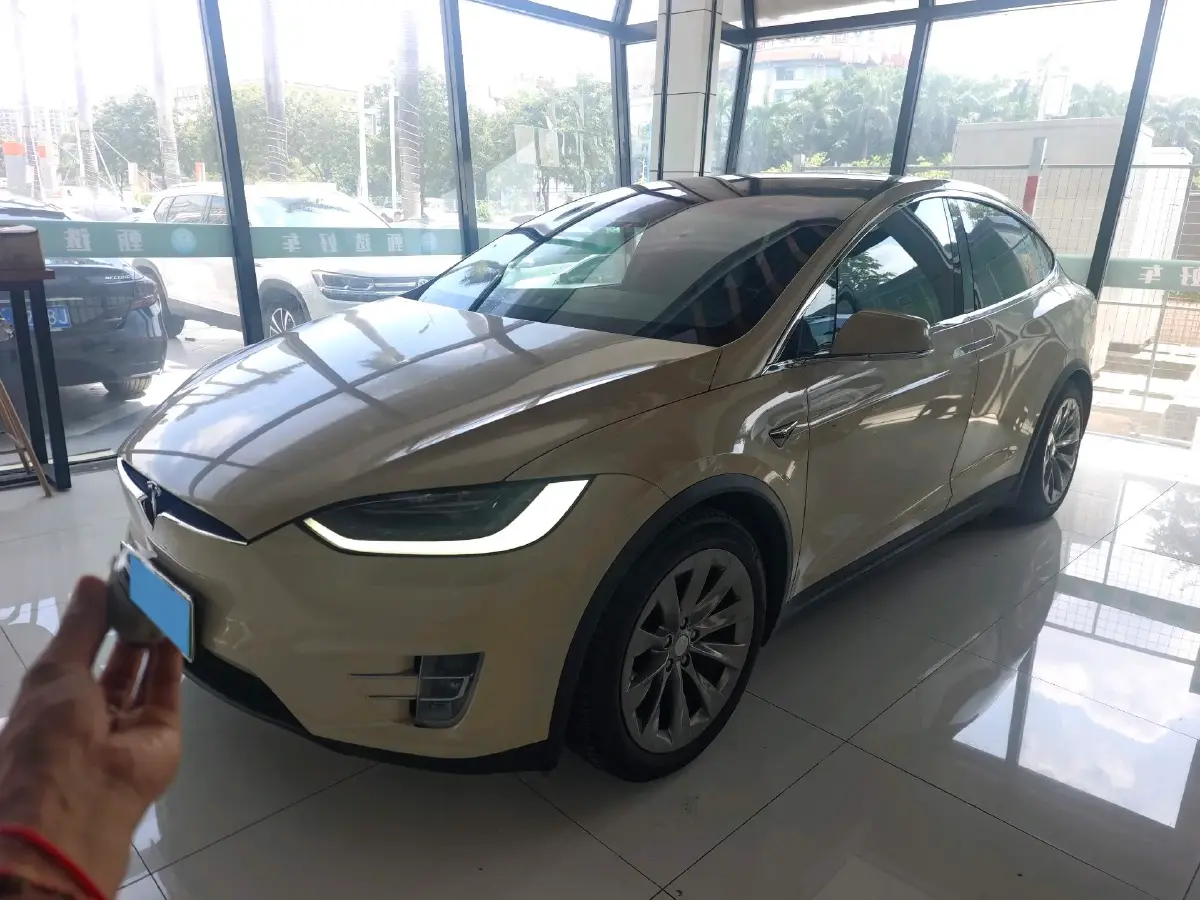 2019 Tesla Model X BEV 100KWH