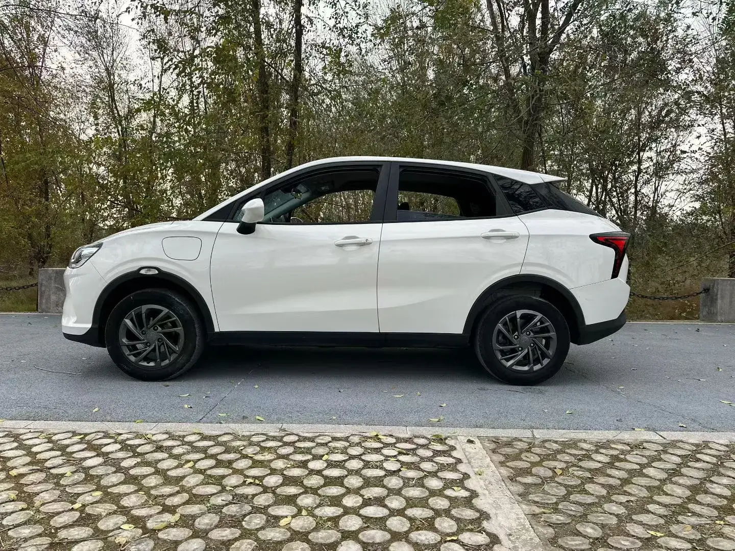 2021 NETA V thumbnail 4