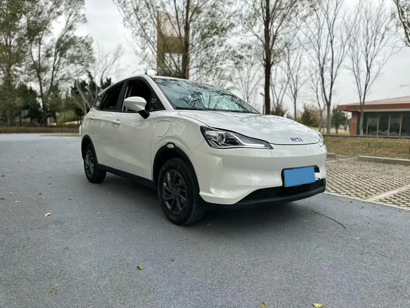 2021 NETA V thumbnail 3