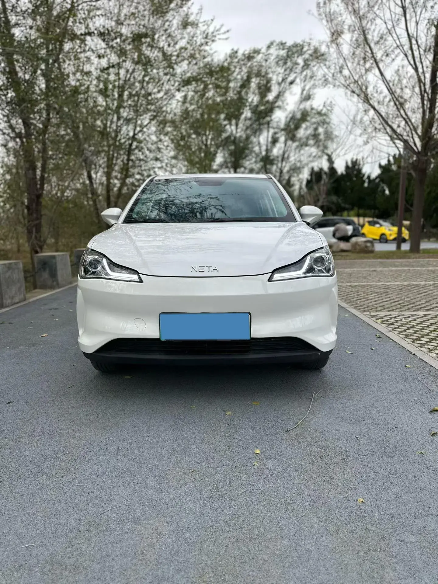 2021 NETA V thumbnail 2