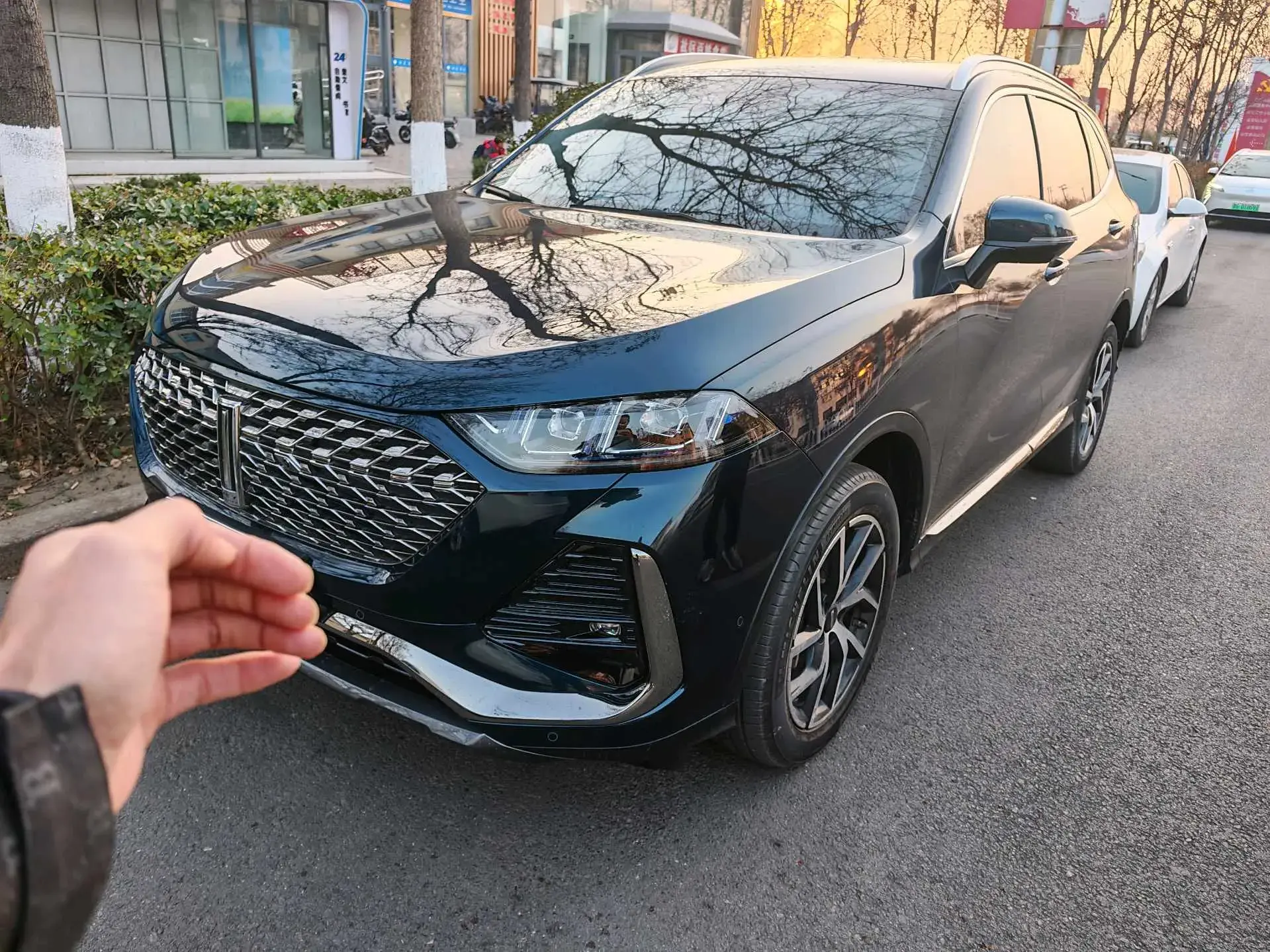 2022 WEY LATTE view 1