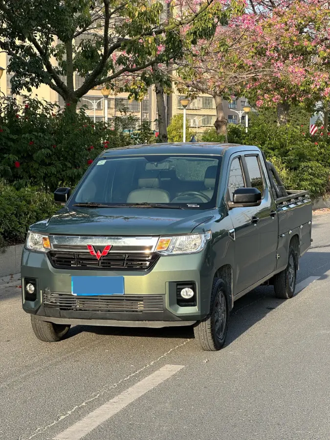 2021 WuLing ZhentTu 1.5L 99HP L4 5MT