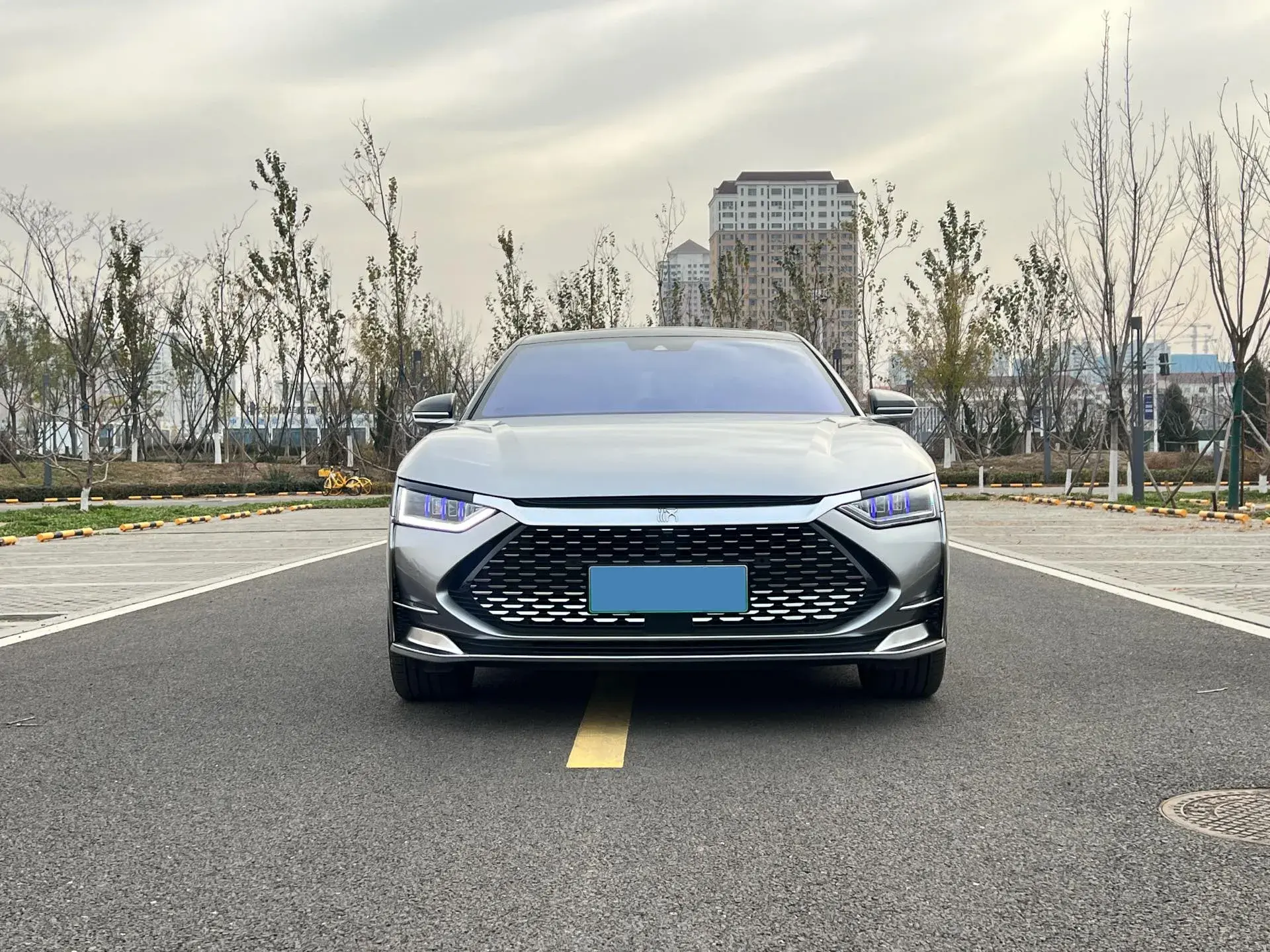 2020 BYD HAN thumbnail 2