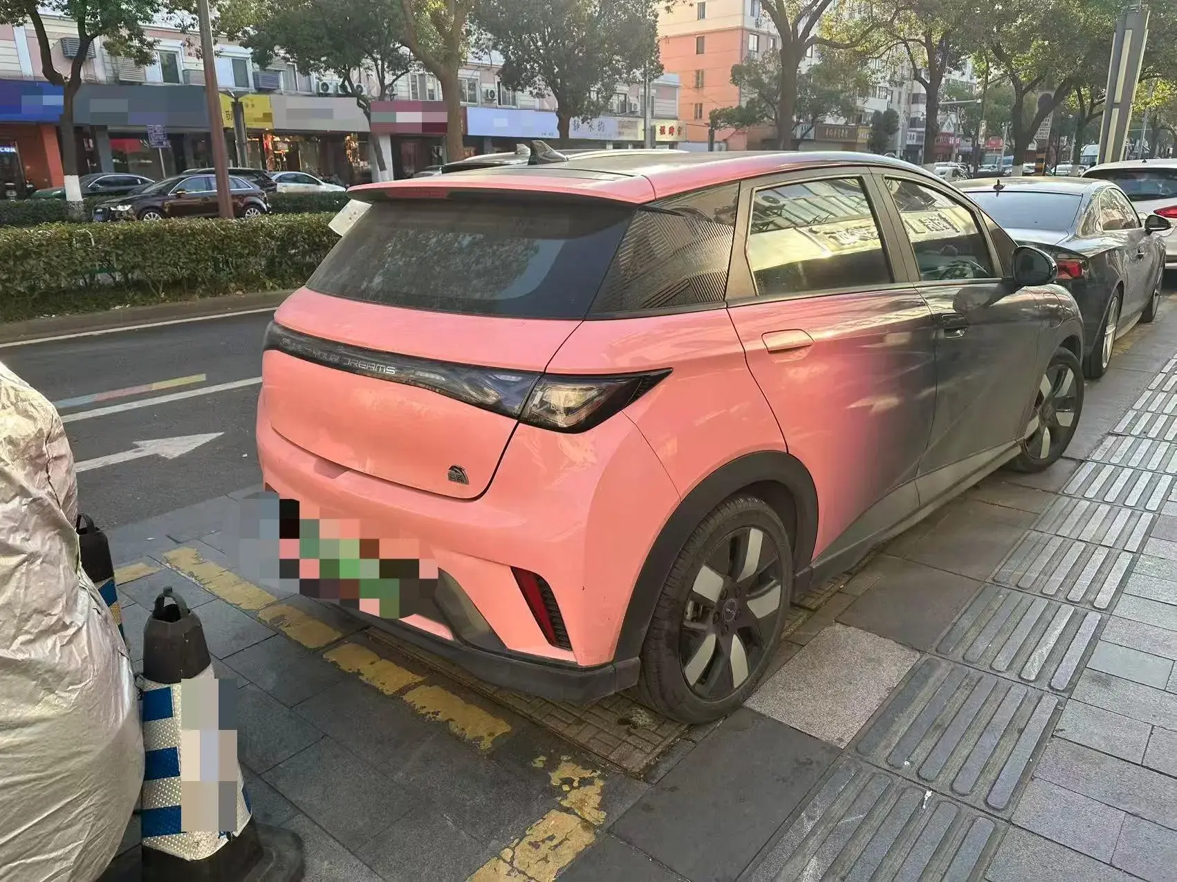 2021 BYD DOLPHIN thumbnail 3