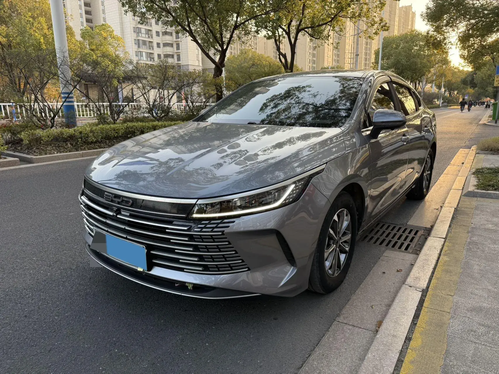2024 BYD DESTROYER view 1