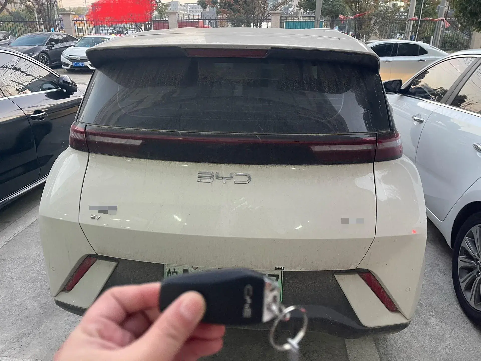 2025 BYD SEAGULL thumbnail 2