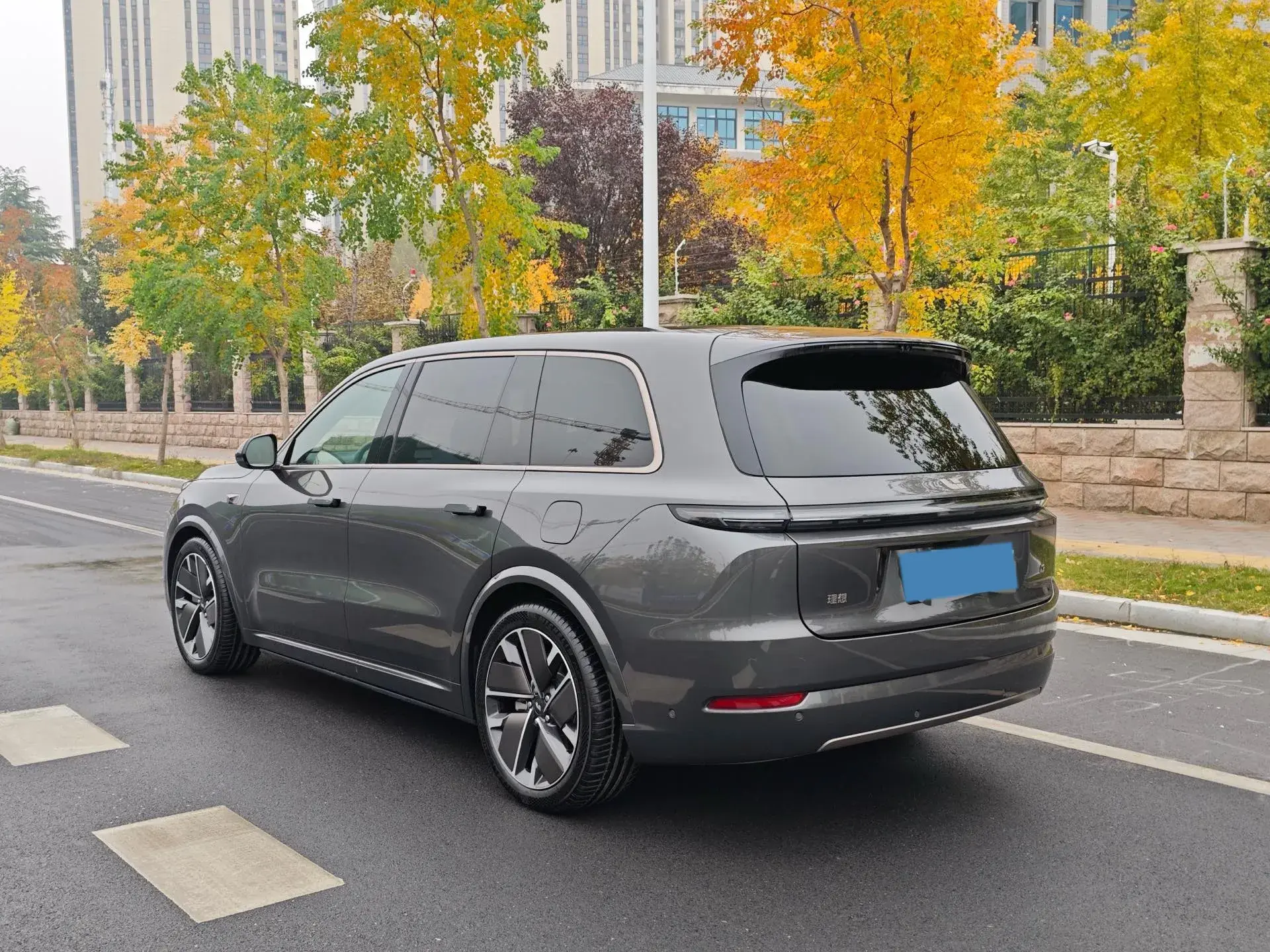 2025 LI L9 thumbnail 4