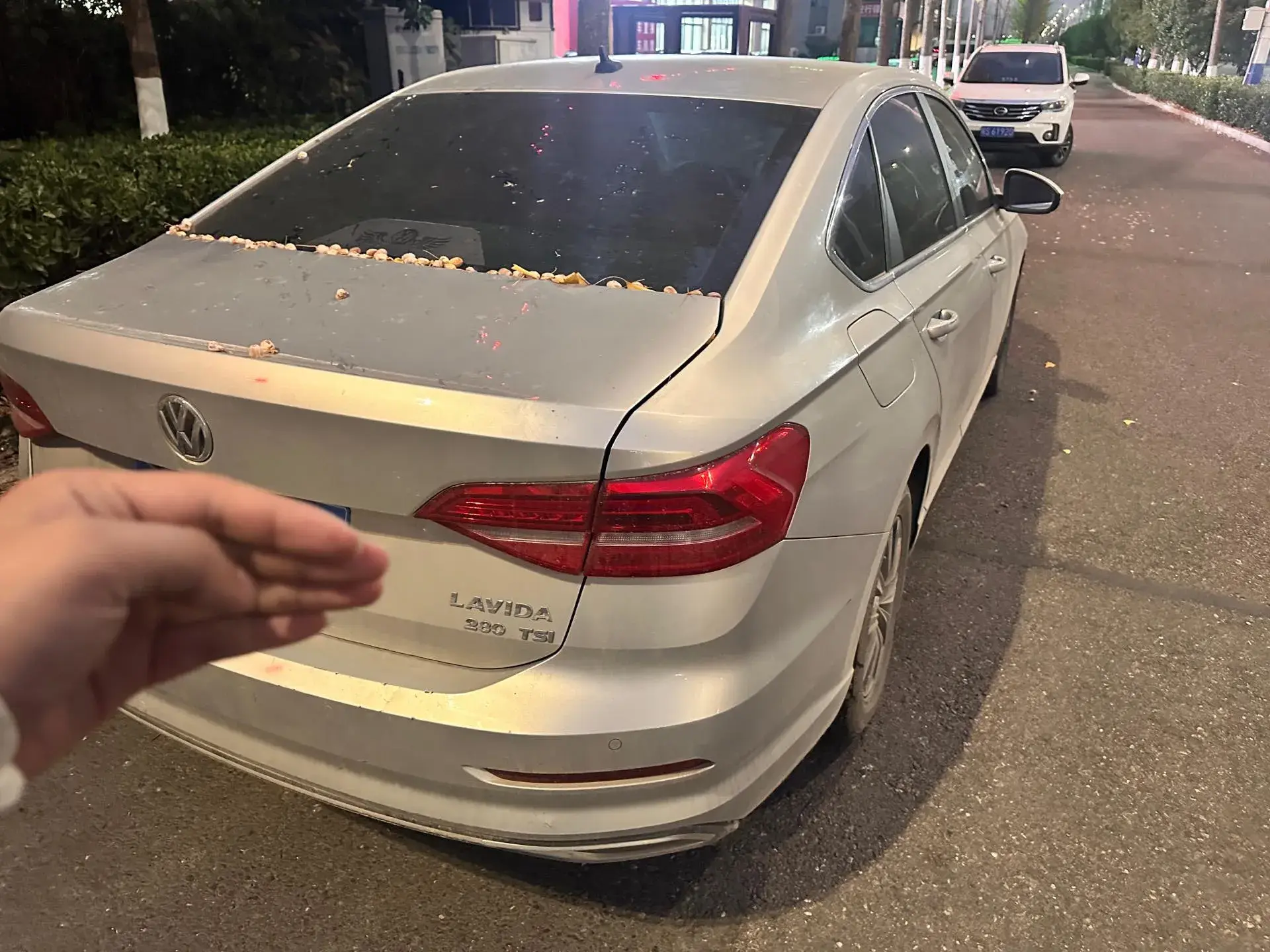 2018 VOLKSWAGEN LAVIDA thumbnail 3