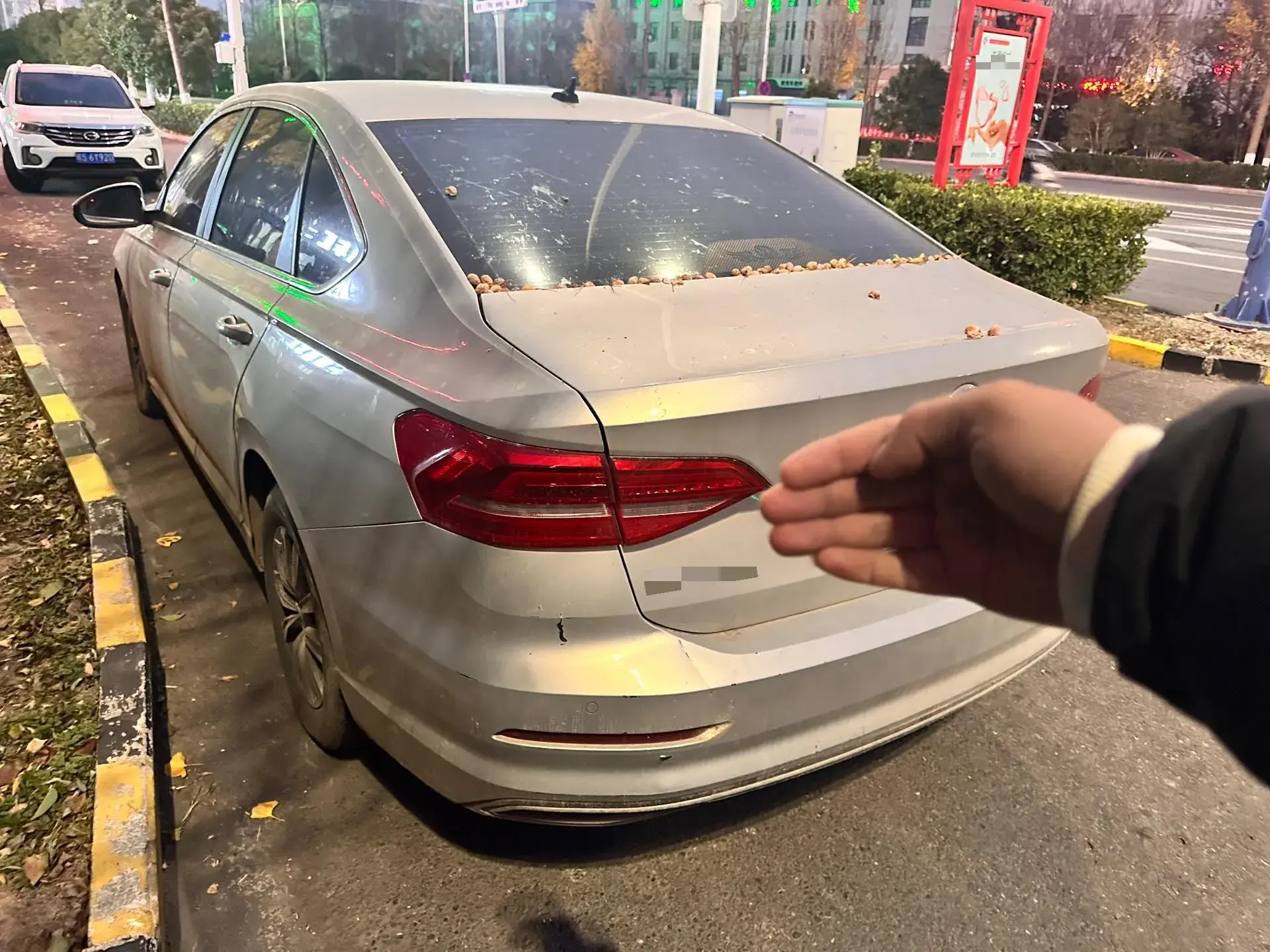 2018 VOLKSWAGEN LAVIDA thumbnail 4