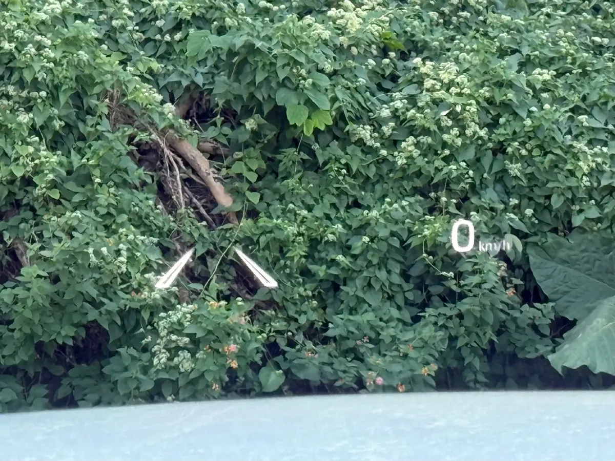 2015 Toyota Land Cruiser 4.0L 275HP V6 5AT,autocango,china used car exporter,china ev exporter,chinese used car exporter,chinese used ev exporter