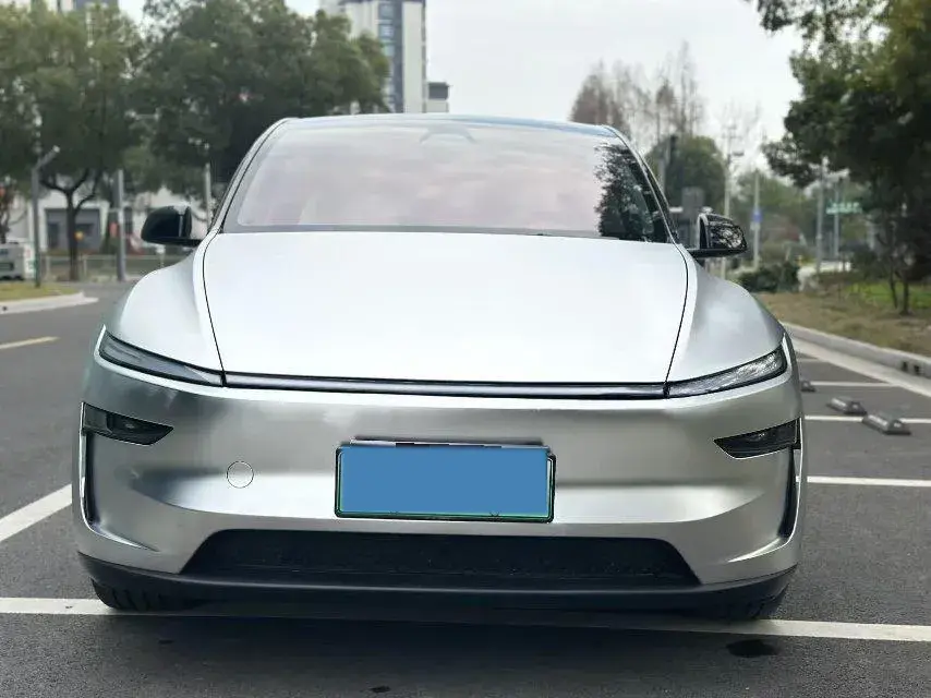 2025 TESLA MODEL thumbnail 2