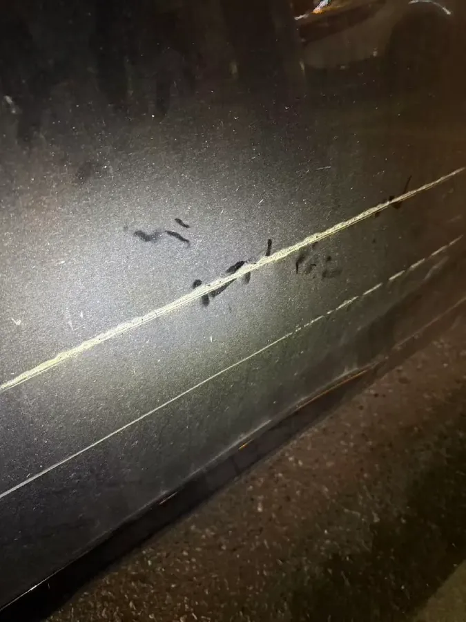 2019 Toyota Avalon 2.5L 209HP L4 8AT,autocango,china used car exporter,china ev exporter,chinese used car exporter,chinese used ev exporter