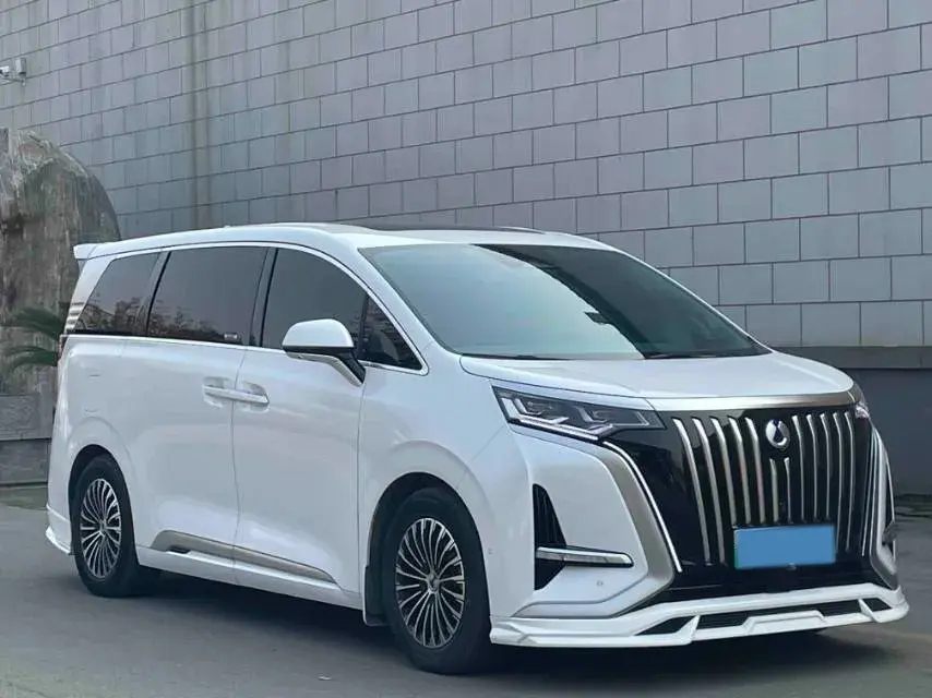 2022 DENZA D9 thumbnail 3