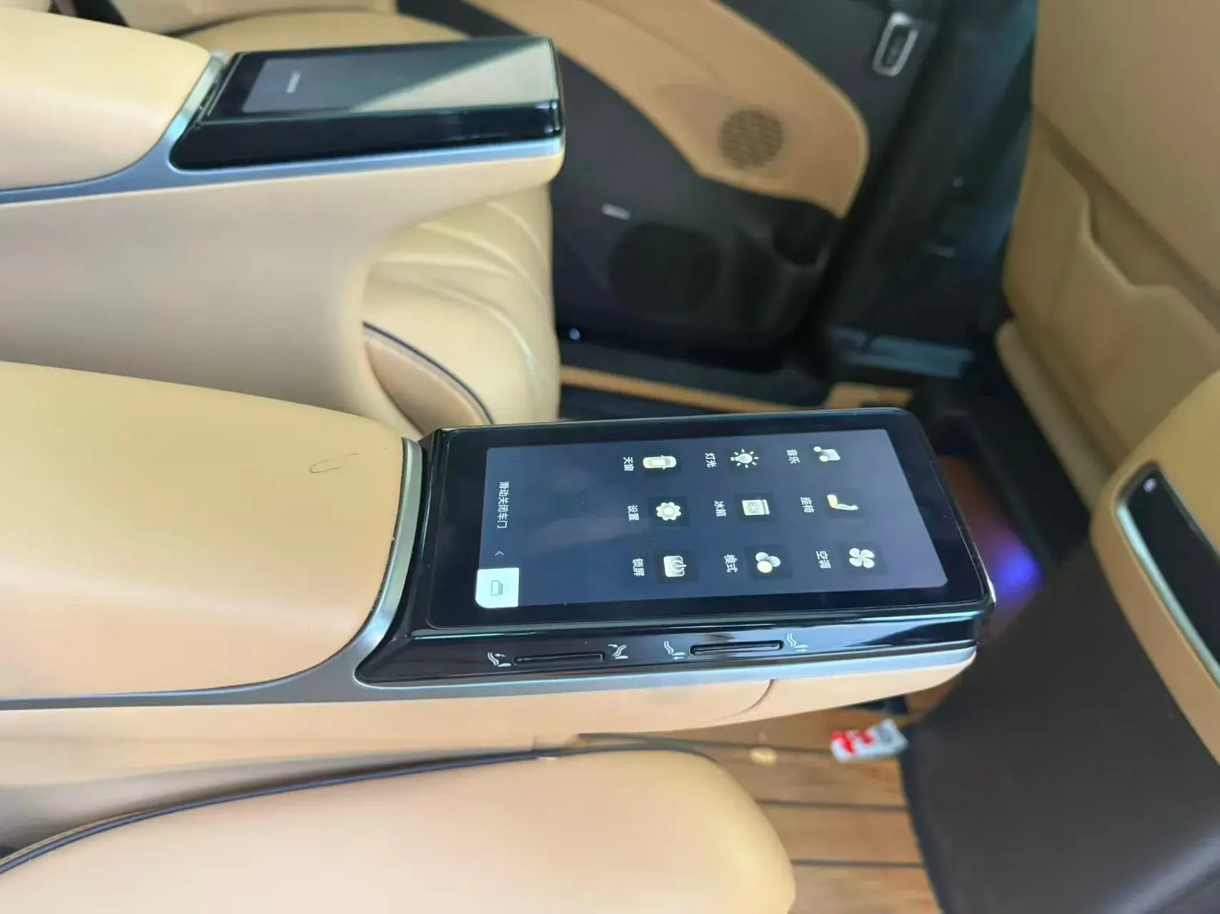 2024 DENZA D9 thumbnail 3