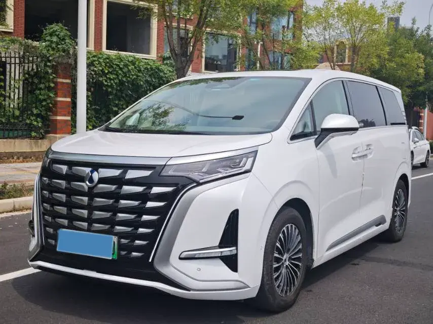 2022 DENZA D9 view 1