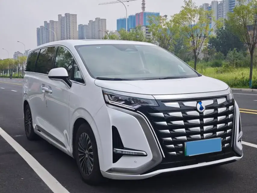 2022 DENZA D9 thumbnail 3