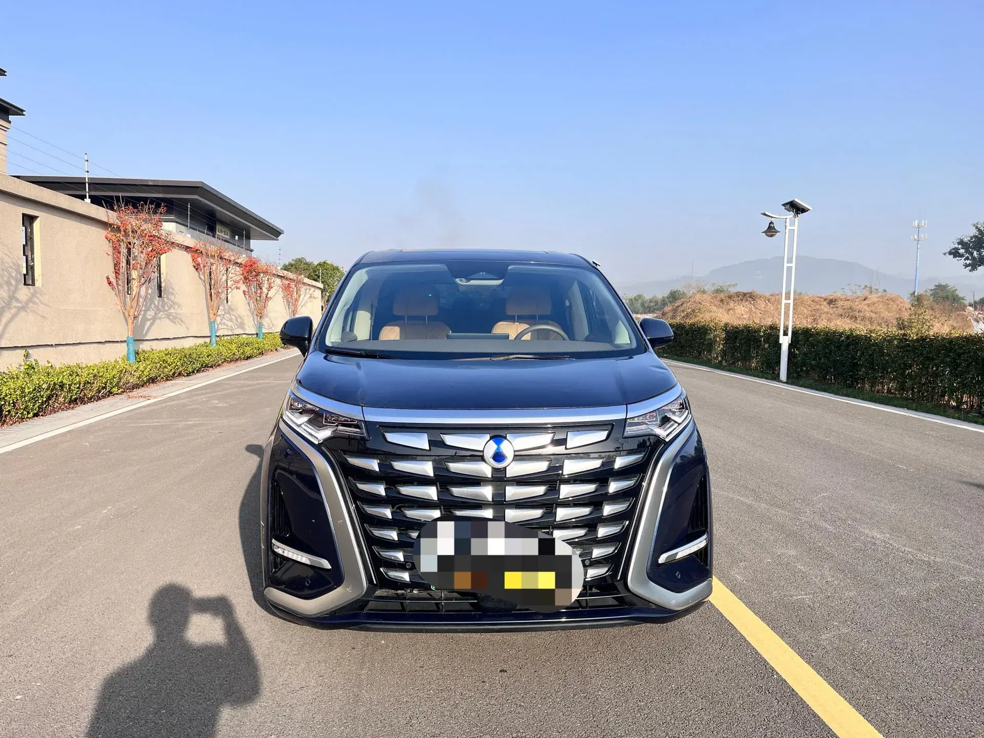 2022 DENZA D9 thumbnail 2