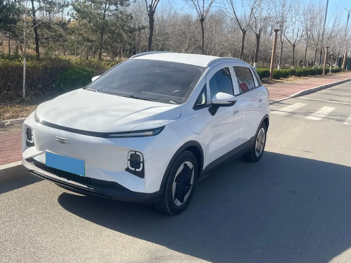 2024 Geometry E BEV 39.3KWH