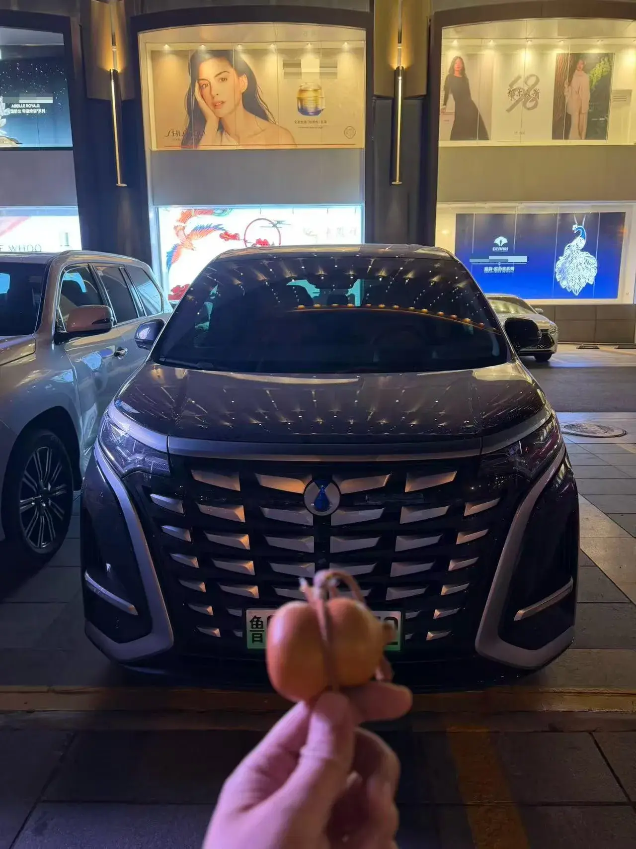 2024 DENZA D9 thumbnail 2