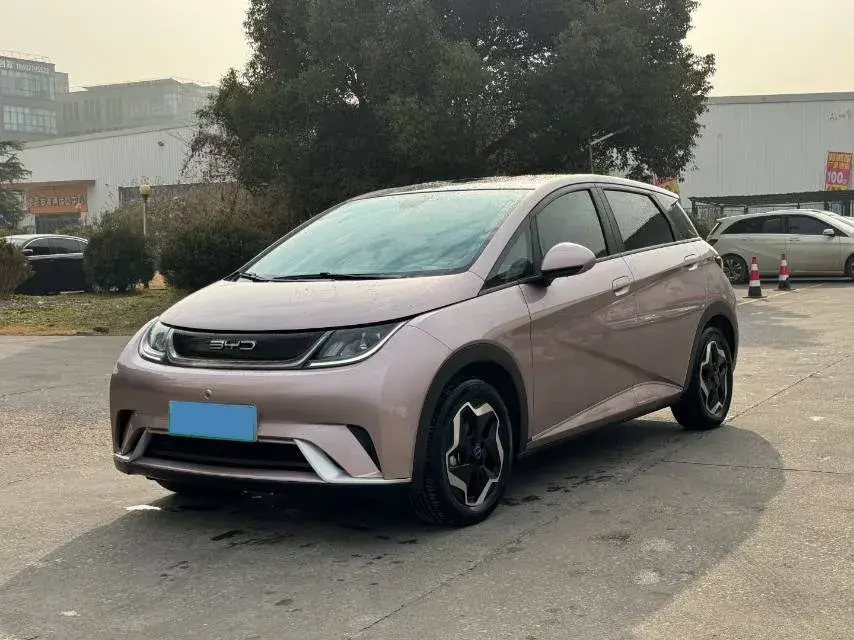 2021 BYD DOLPHIN view 1