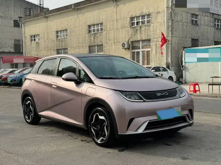 2021 BYD DOLPHIN thumbnail 4