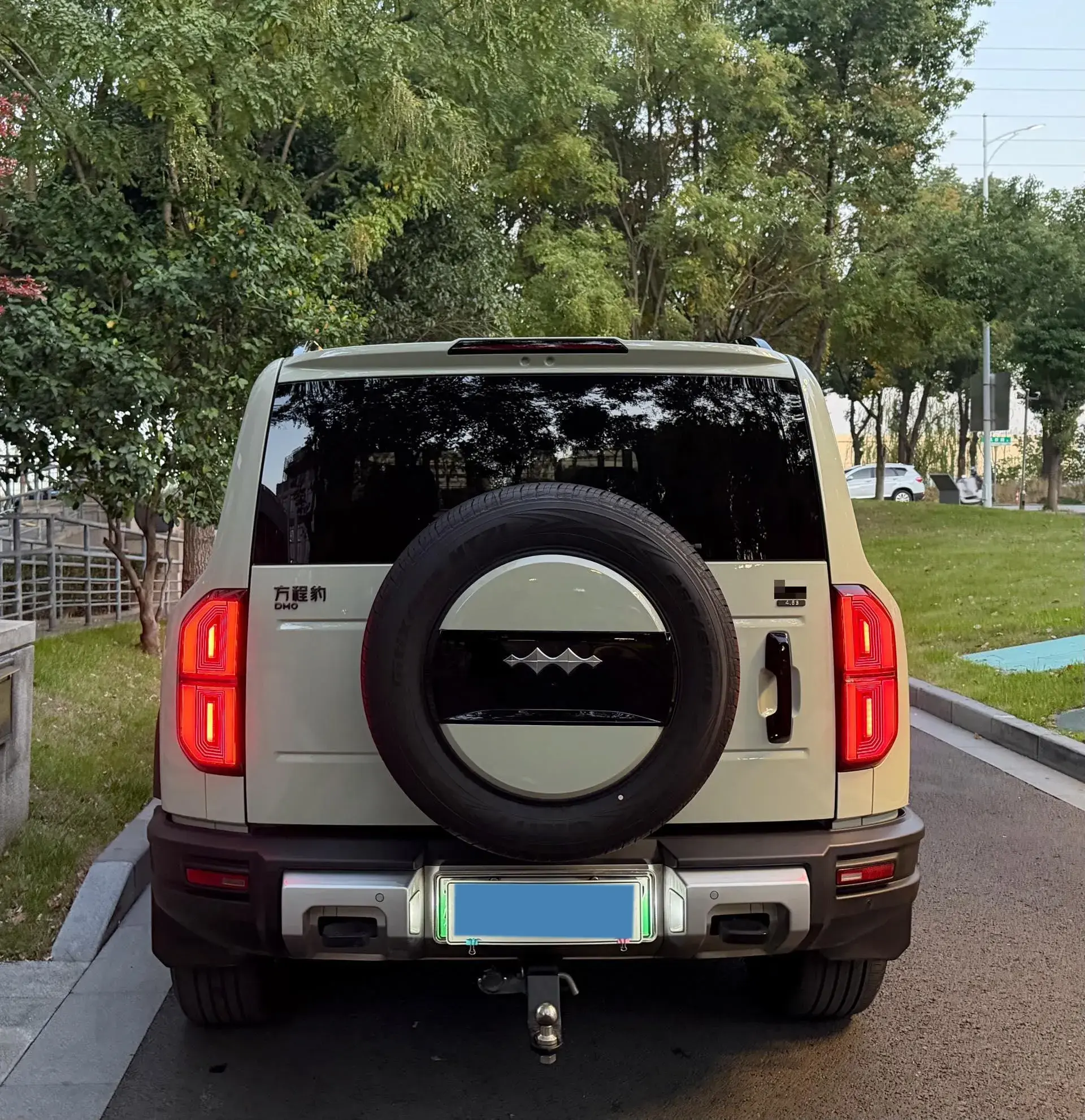 2023 FANGCHENGBAO BAO thumbnail 4