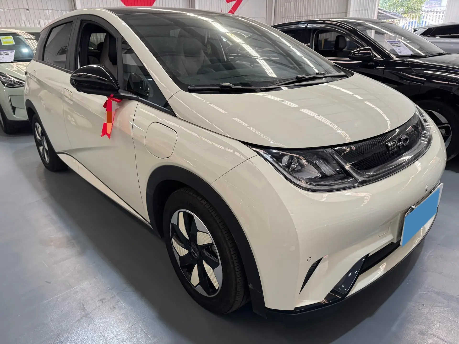 2024 BYD DOLPHIN thumbnail 3