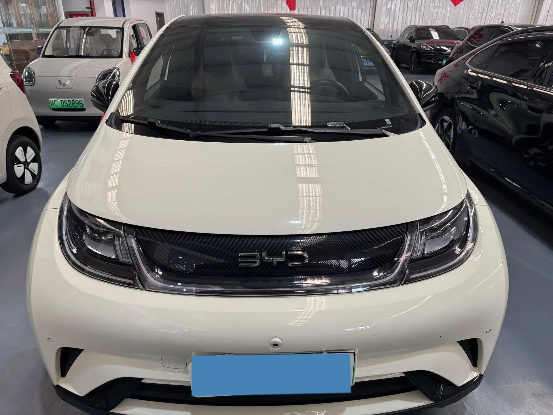 2024 BYD DOLPHIN thumbnail 2