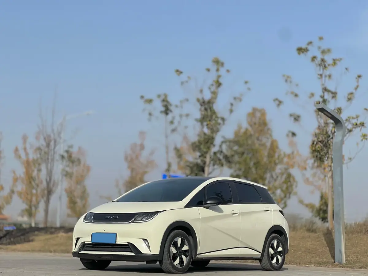 2025 BYD Dolphin BEV 44.928KWH
