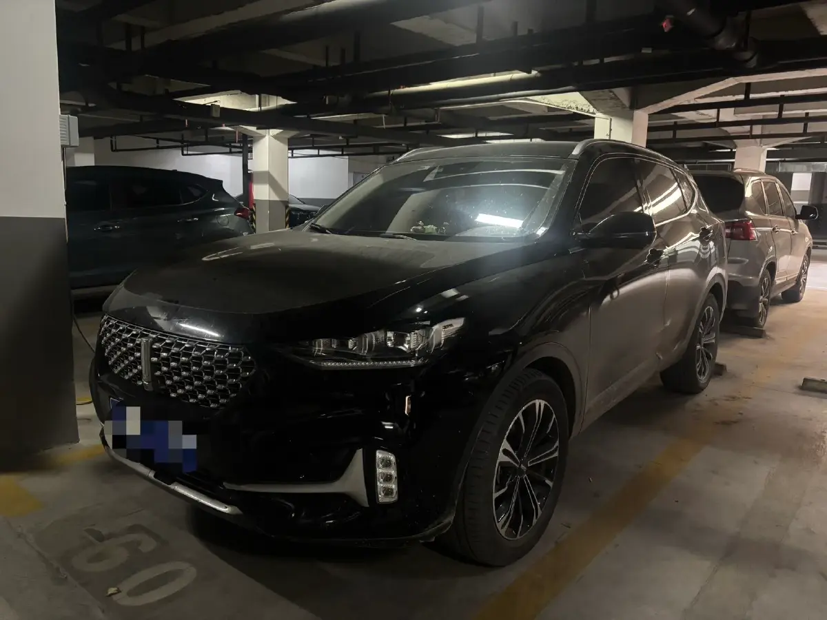 2021 WEY VV6 2.0T 227HP L4 7DCT