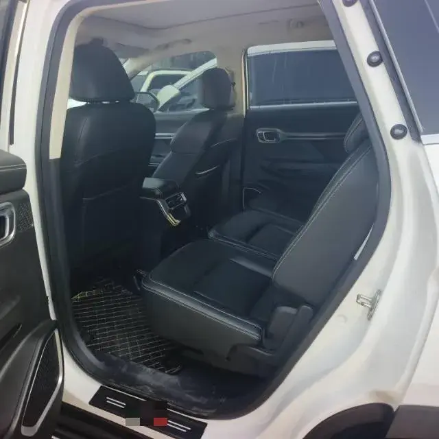 2020 GEELY OKAVANGO thumbnail 3