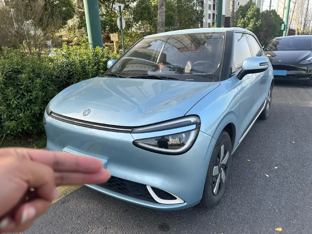 2024 DongFeng Nammi 01 BEV 42.3KWH