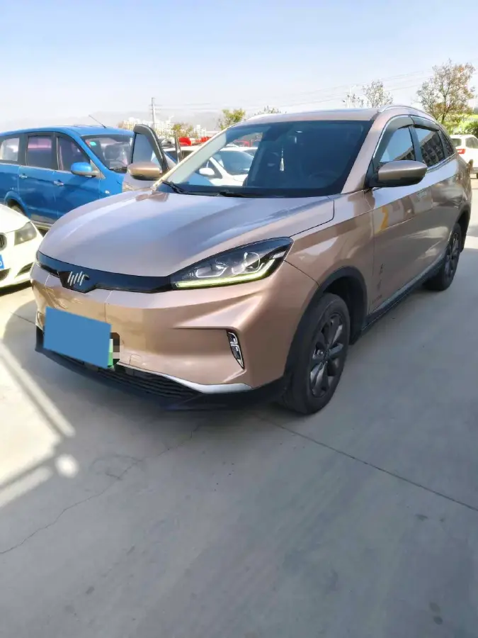 2019 Weltmeister EX5 BEV 48.08KWH