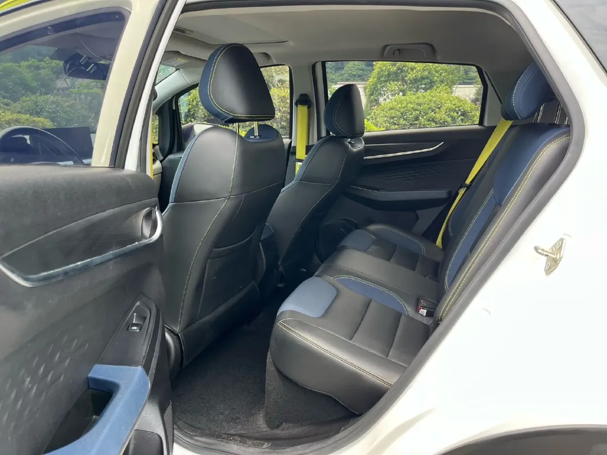 2021 Geometry EX3 BEV 37.23KWH,autocango,china used car exporter,china ev exporter,chinese used car exporter,chinese used ev exporter