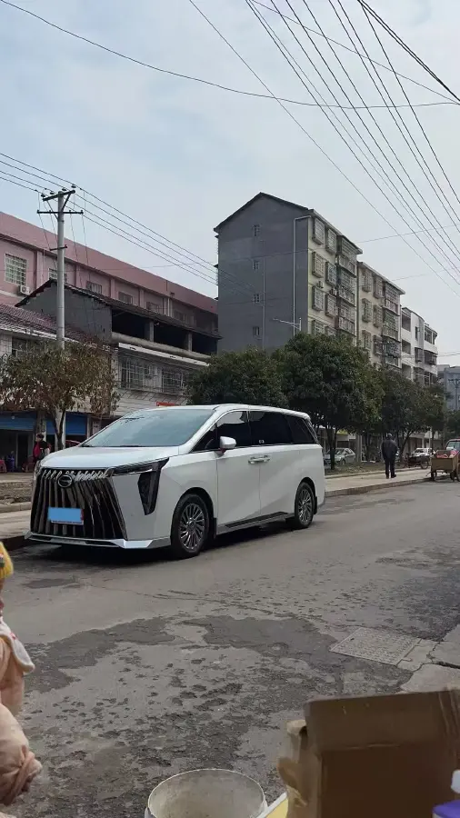 2023 GAC Trumpchi M8 2.0T 252HP L4 8AT