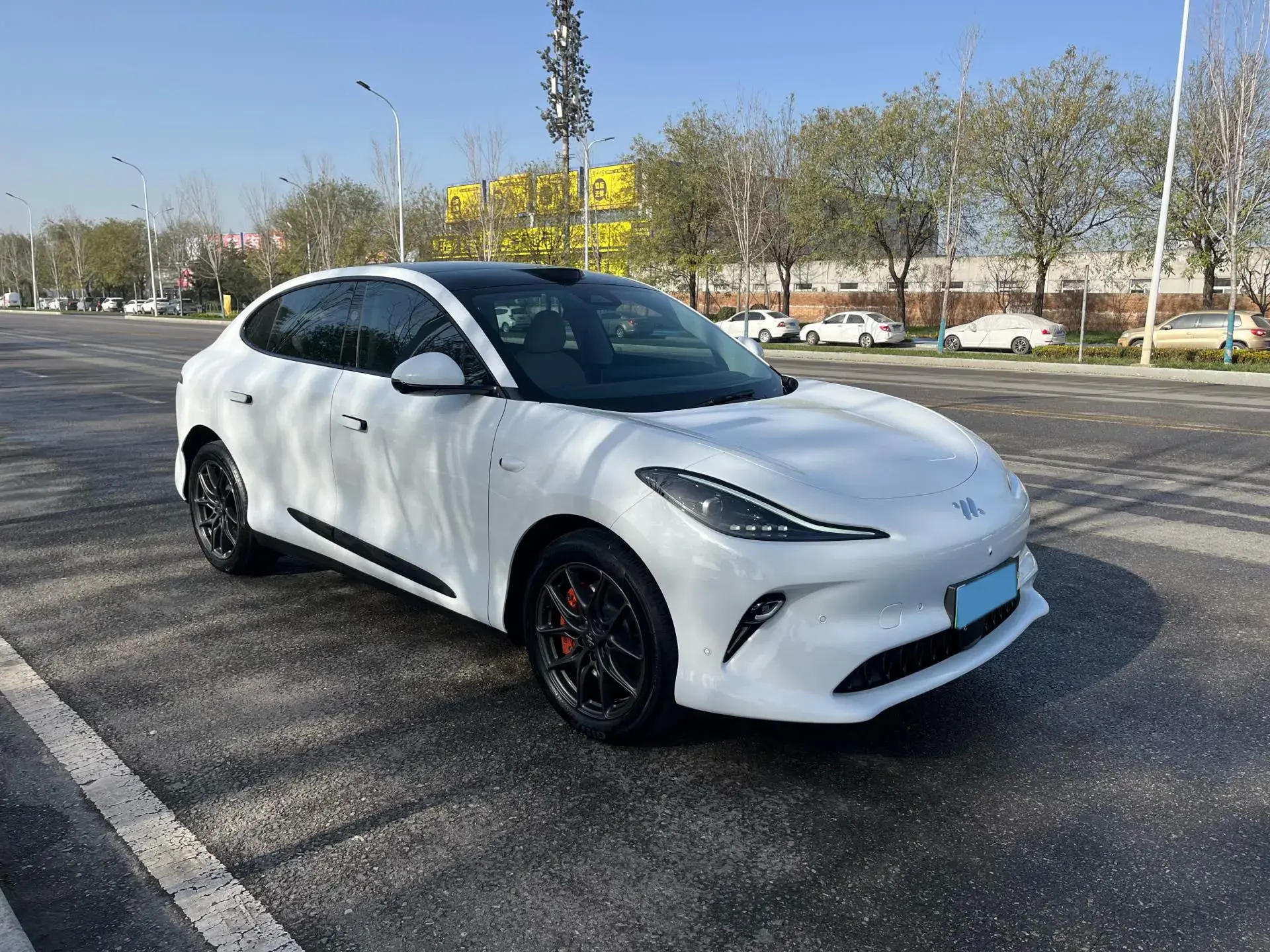 2025 IM LS6 thumbnail 3