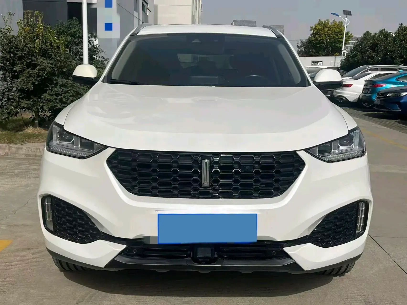 2018 WEY VV6 thumbnail 2