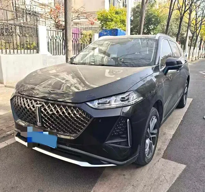 2021 WEY Macchiato 1.5L 97HP L4 2DHT PHEV 19.94KWH,autocango,china used car exporter,china ev exporter,chinese used car exporter,chinese used ev exporter