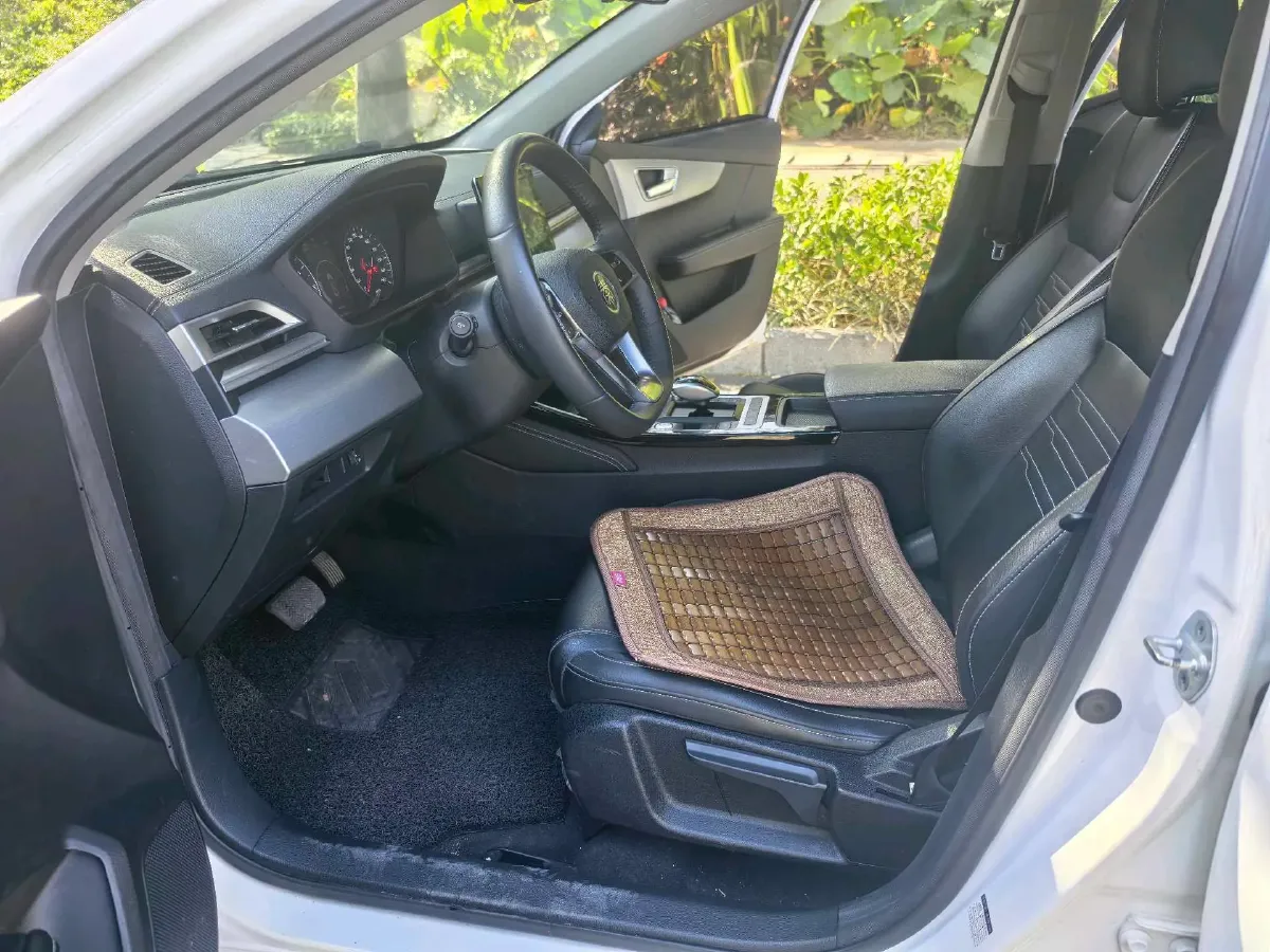 2019 BYD Qin BEV 53.1KWH,autocango,china used car exporter,china ev exporter,chinese used car exporter,chinese used ev exporter