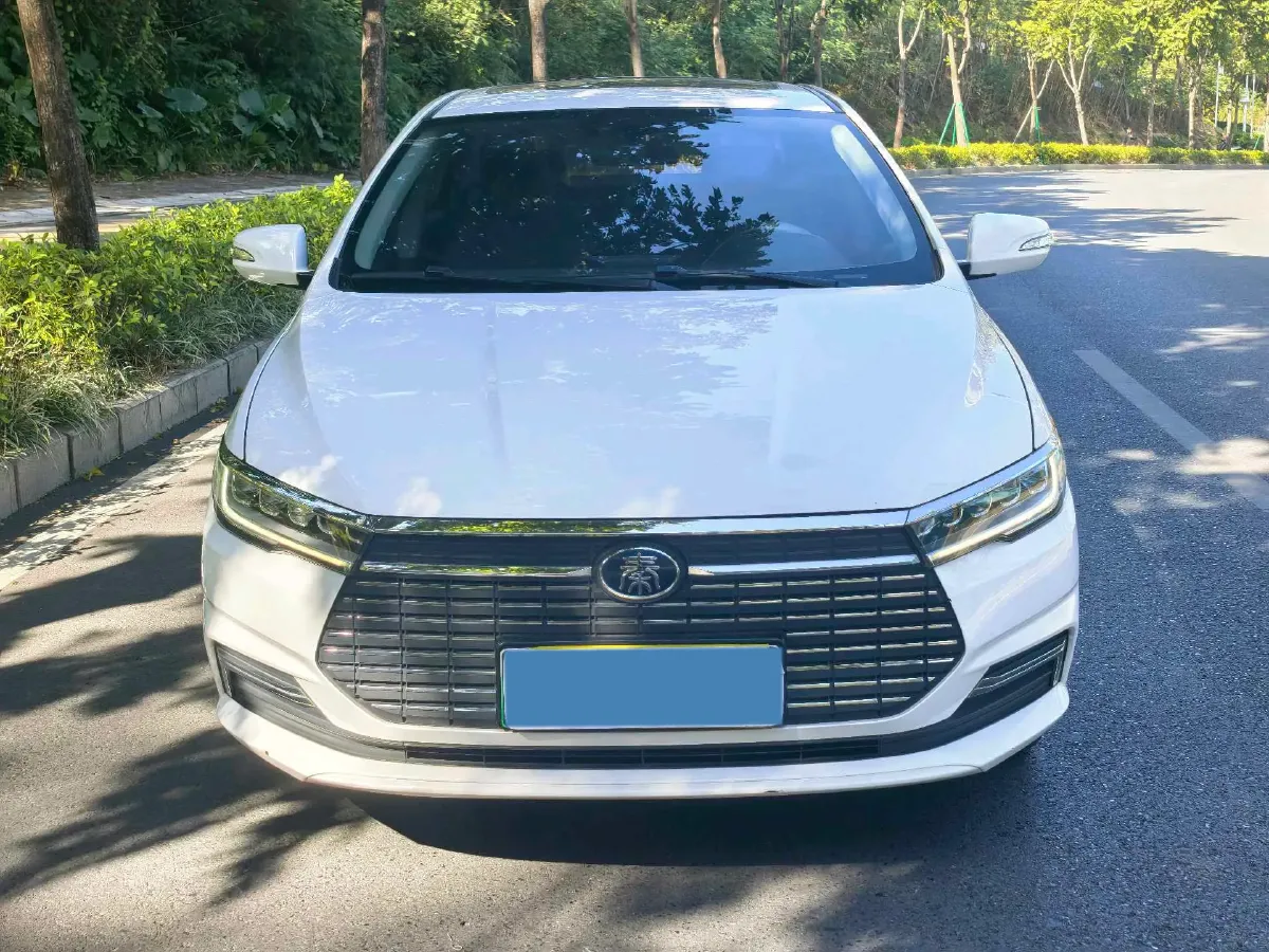 2019 BYD Qin BEV 53.1KWH,autocango,china used car exporter,china ev exporter,chinese used car exporter,chinese used ev exporter