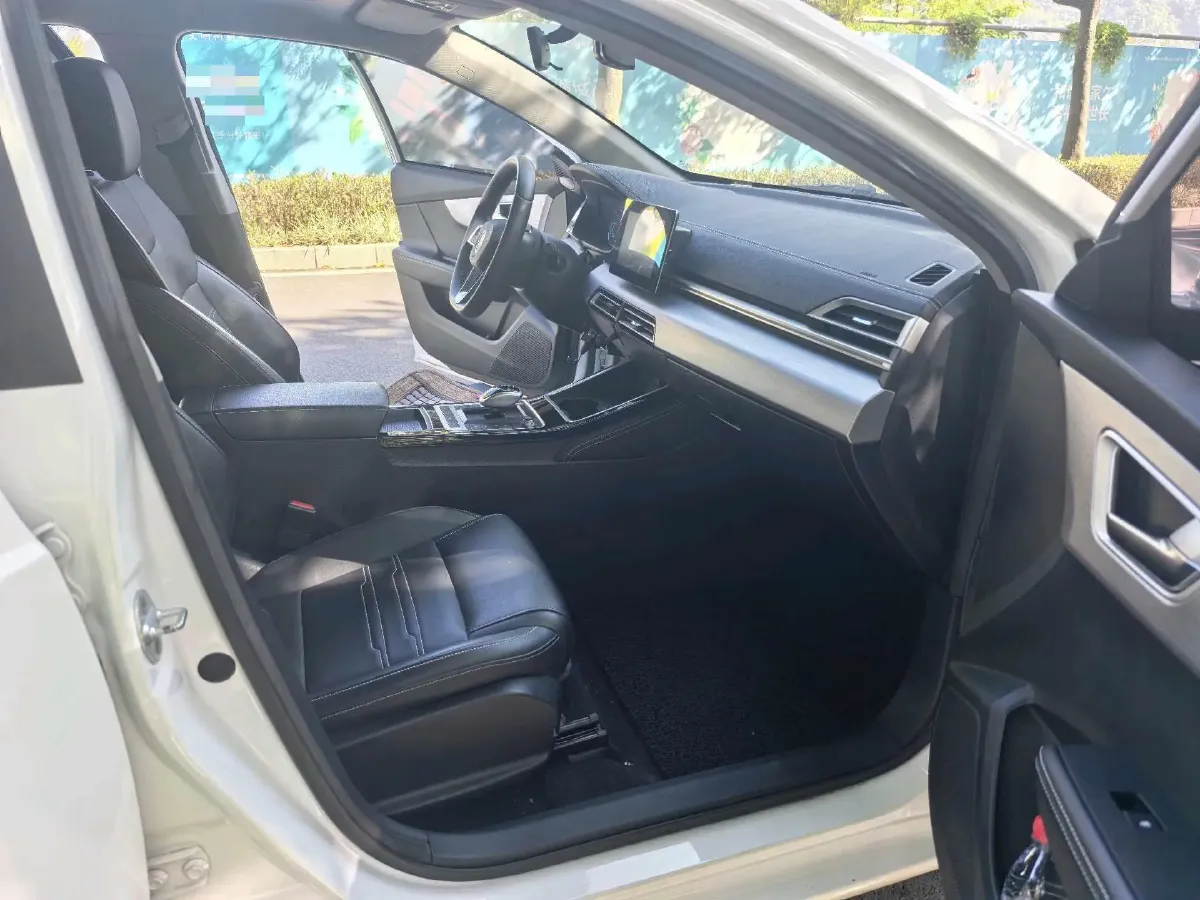 2019 BYD Qin BEV 53.1KWH,autocango,china used car exporter,china ev exporter,chinese used car exporter,chinese used ev exporter