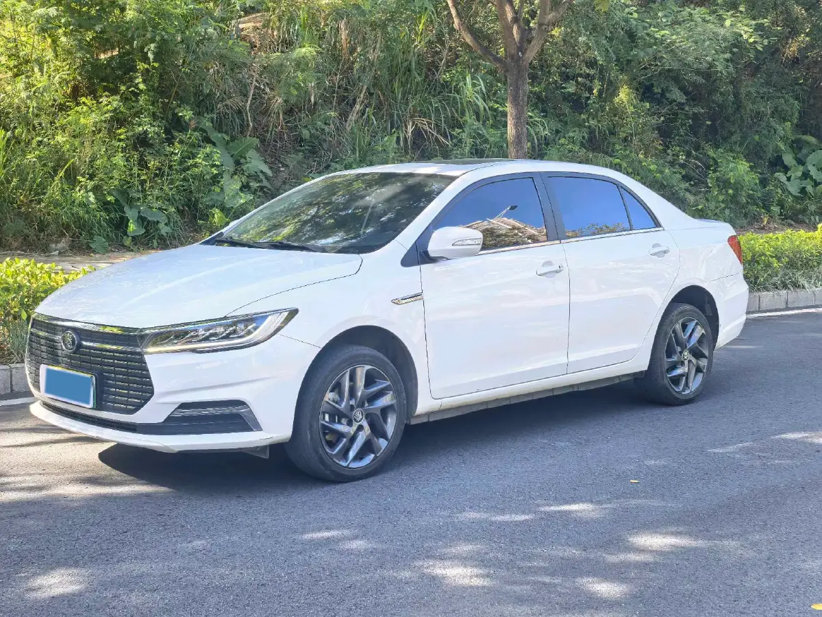 2019 BYD Qin BEV 53.1KWH