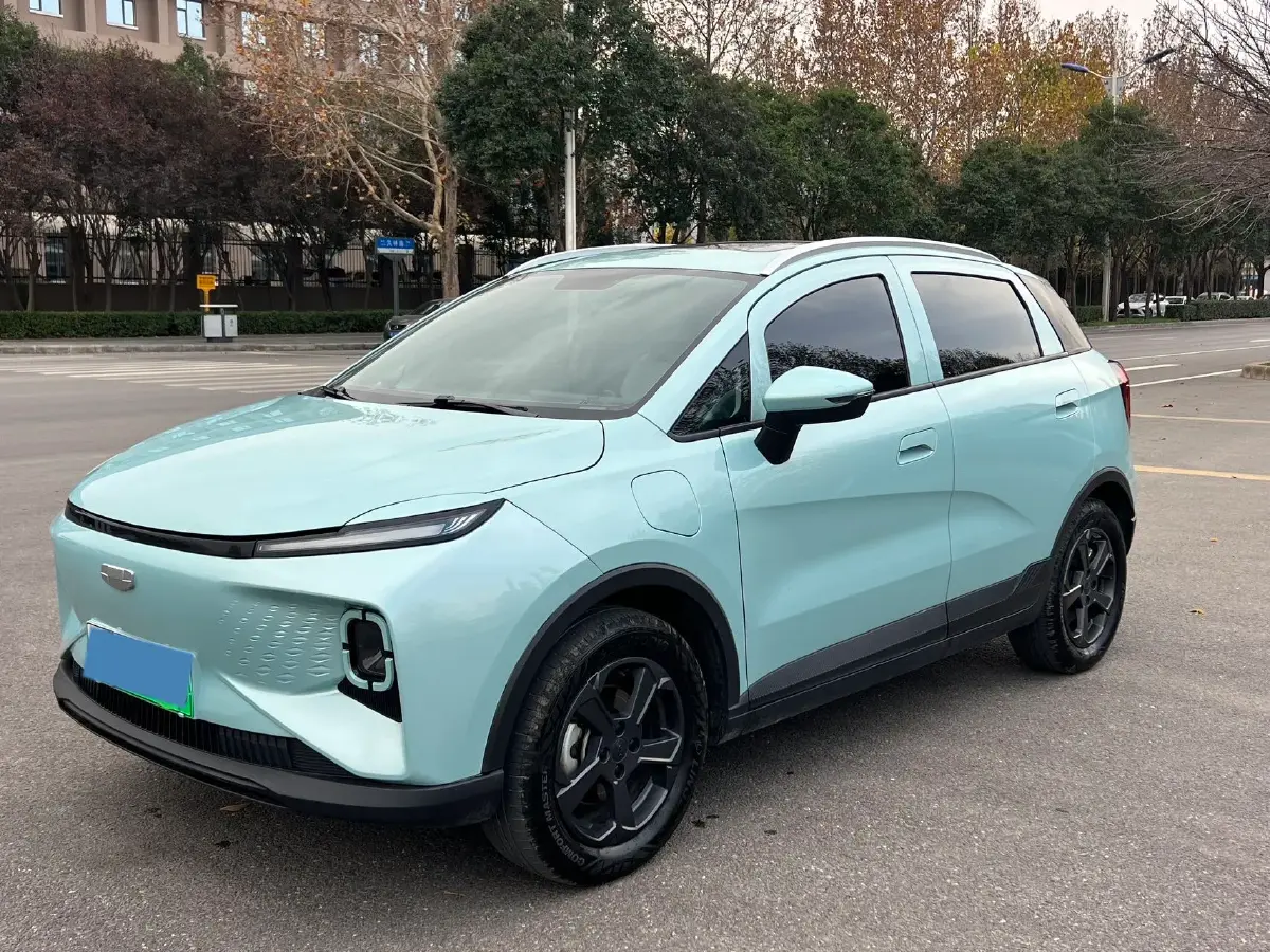 2024 Geometry E BEV 29.67KWH