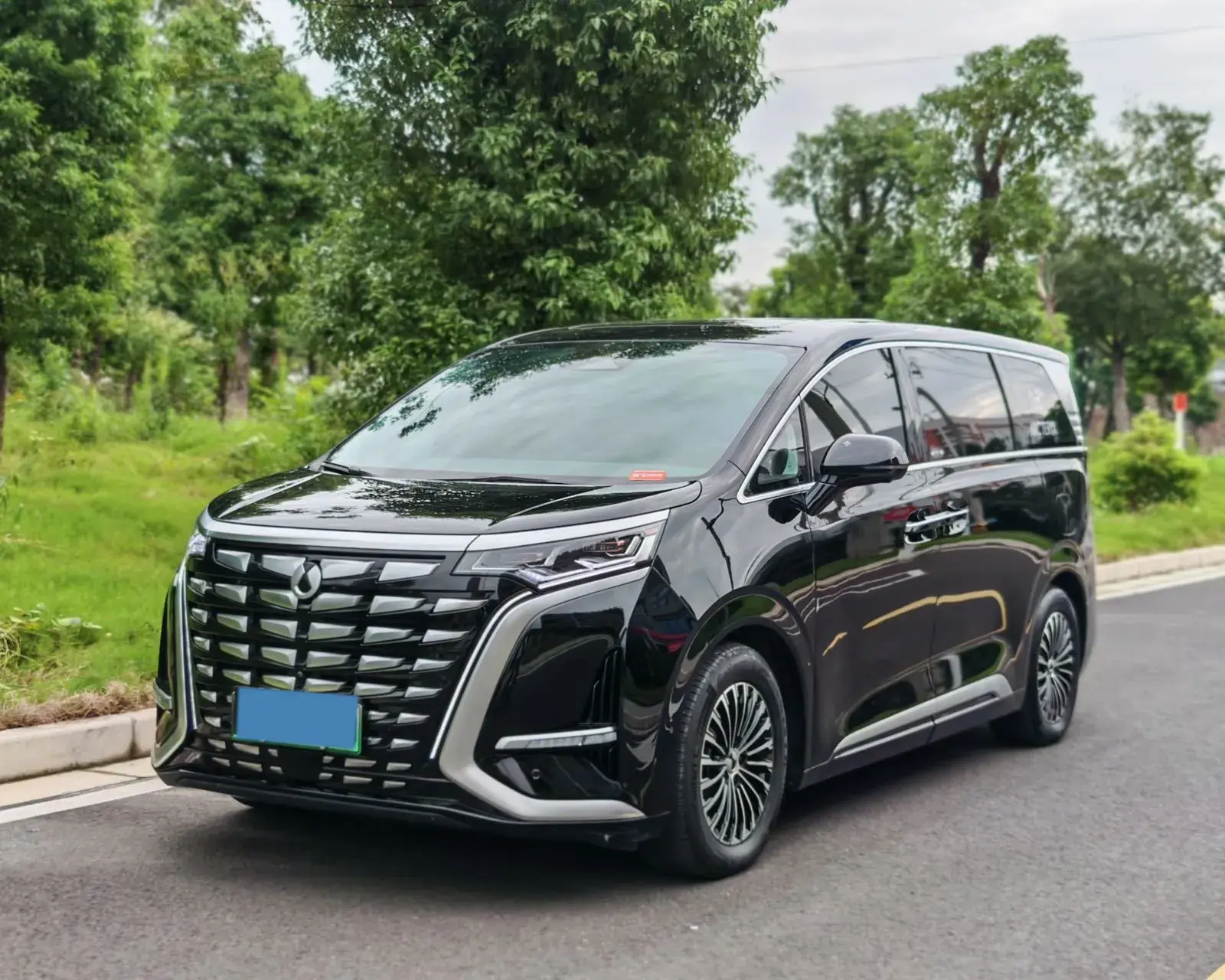 2022 DENZA D9 view 1