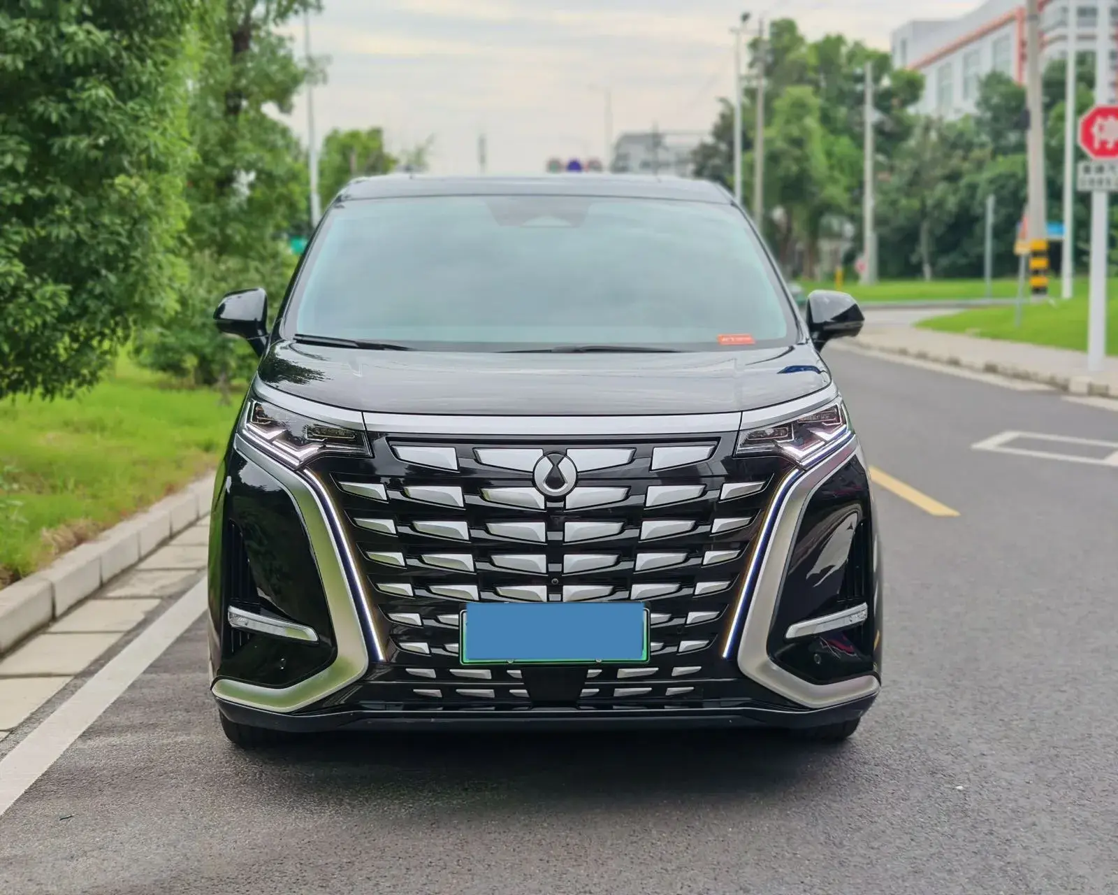 2022 DENZA D9 thumbnail 2