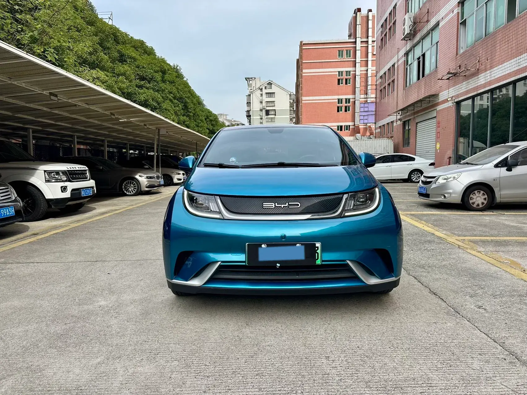 2021 BYD DOLPHIN thumbnail 2