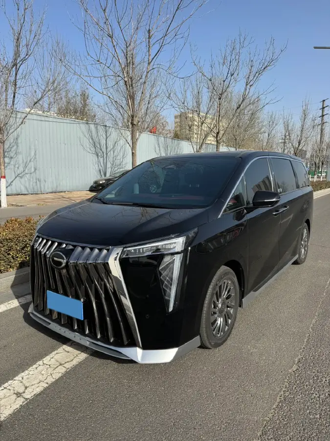 2024 GAC Trumpchi M8 2.0T 252HP L4 8AT