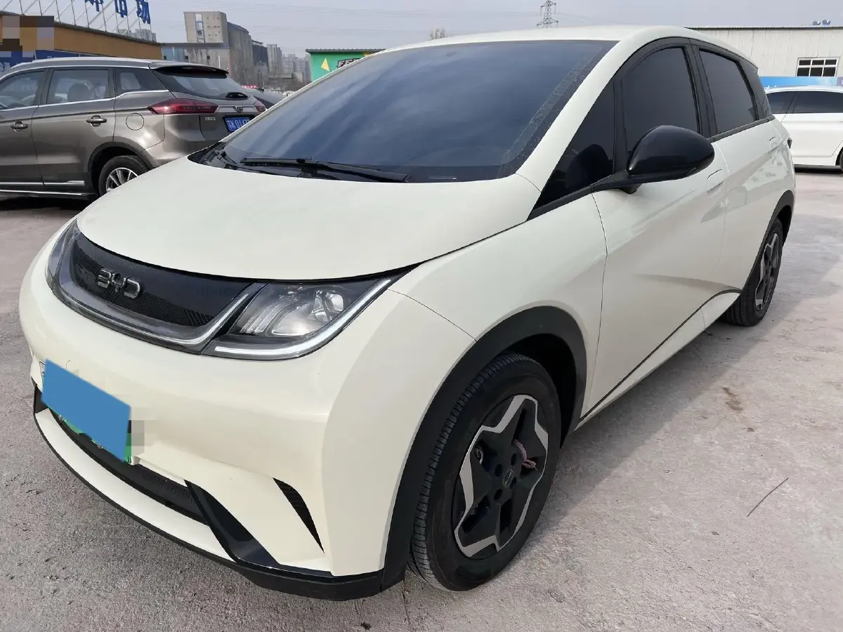 2024 BYD Dolphin BEV 44.928KWH