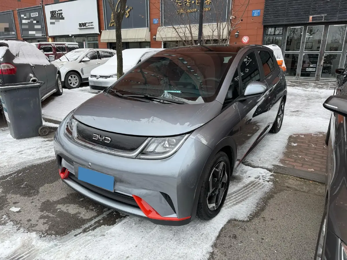 2021 BYD Dolphin BEV 44.9KWH