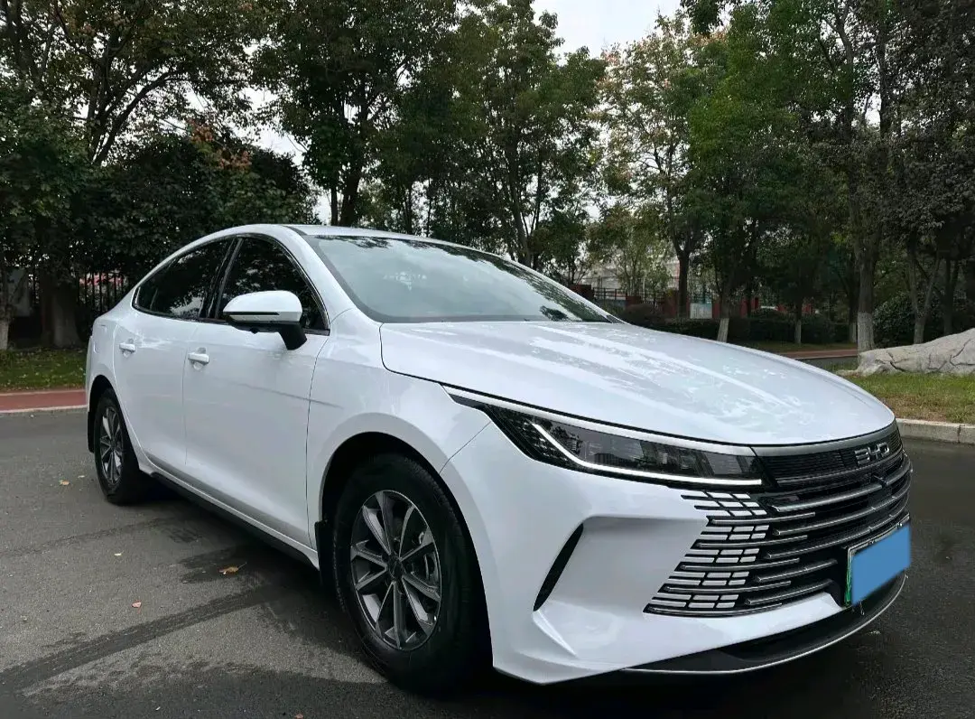 2024 BYD DESTROYER thumbnail 3